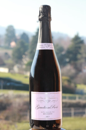 Gaudium Rosè